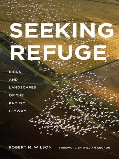 Cover image for book Seeking Refuge