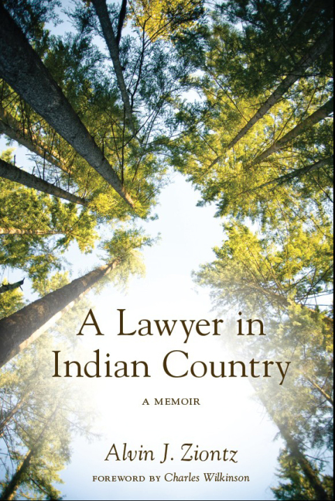 Cover image for book A Lawyer in Indian Country