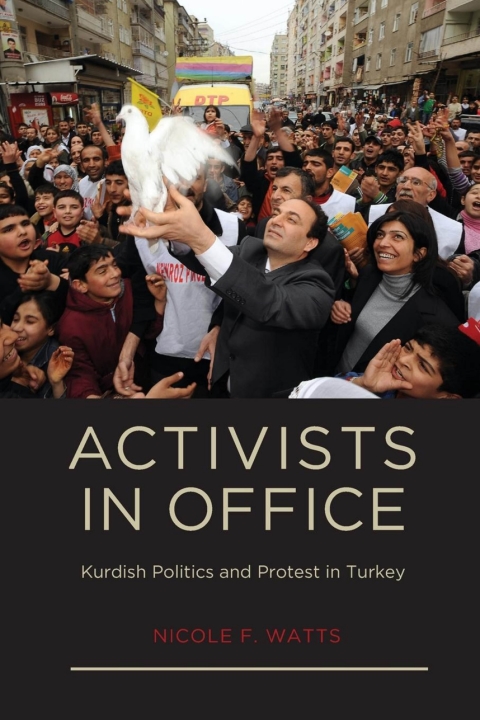 Cover image for book Activists in Office