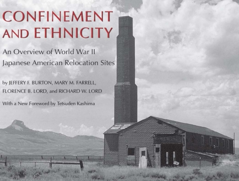 Cover image for book Confinement and Ethnicity