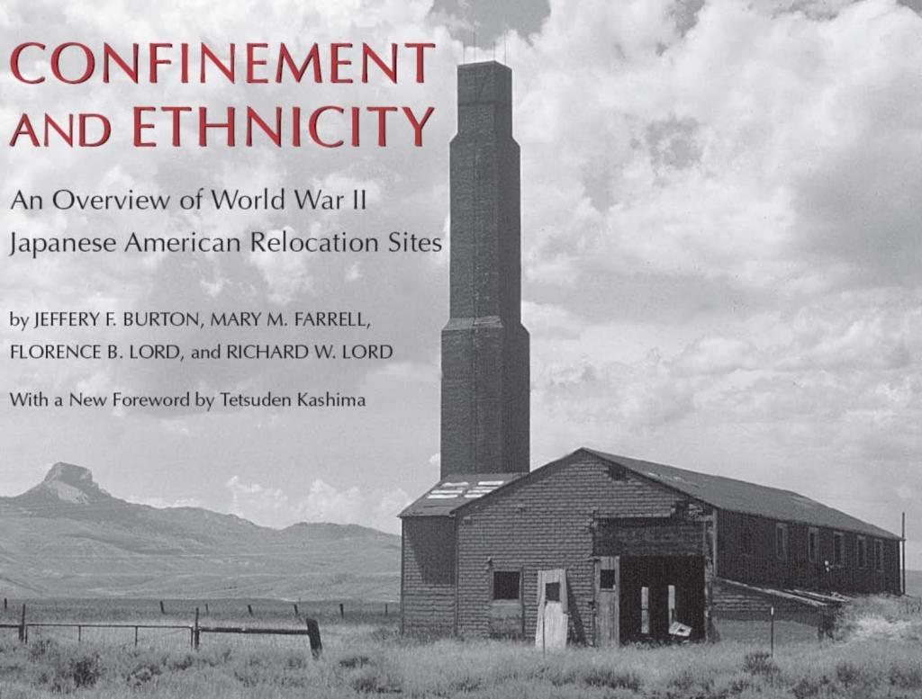 Page Fidelity Confinement and Ethnicity; $33.30