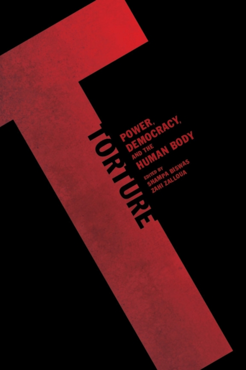 Cover image for book Torture
