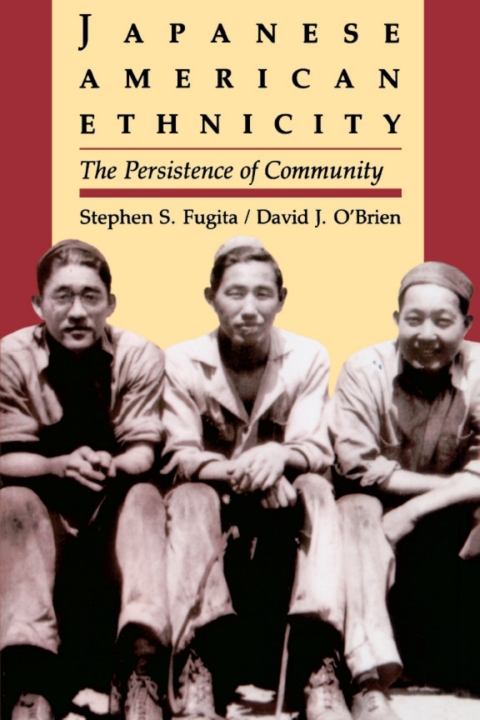 Cover image for book Japanese American Ethnicity