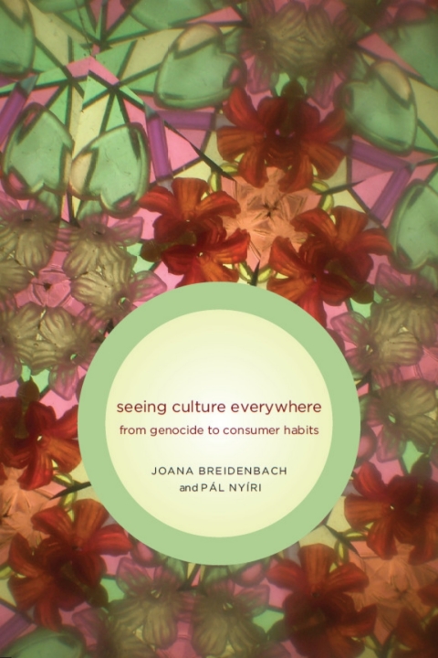 Cover image for book Seeing Culture Everywhere