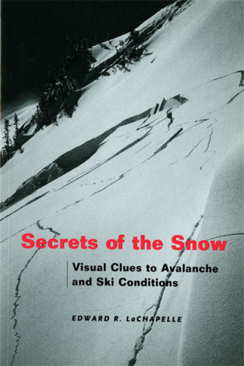 Cover image for book Secrets of the Snow