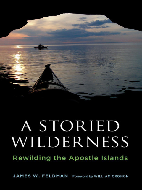 Cover image for book A Storied Wilderness