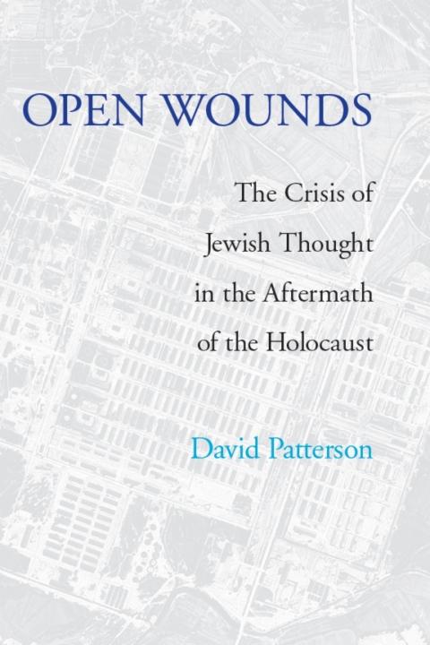 Cover image for book Open Wounds
