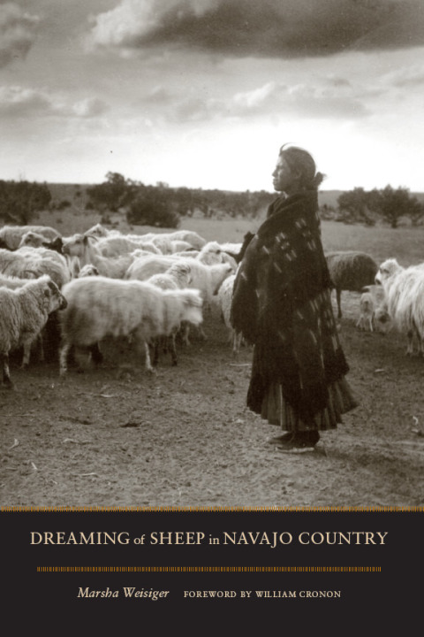 Cover image for book Dreaming of Sheep in Navajo Country