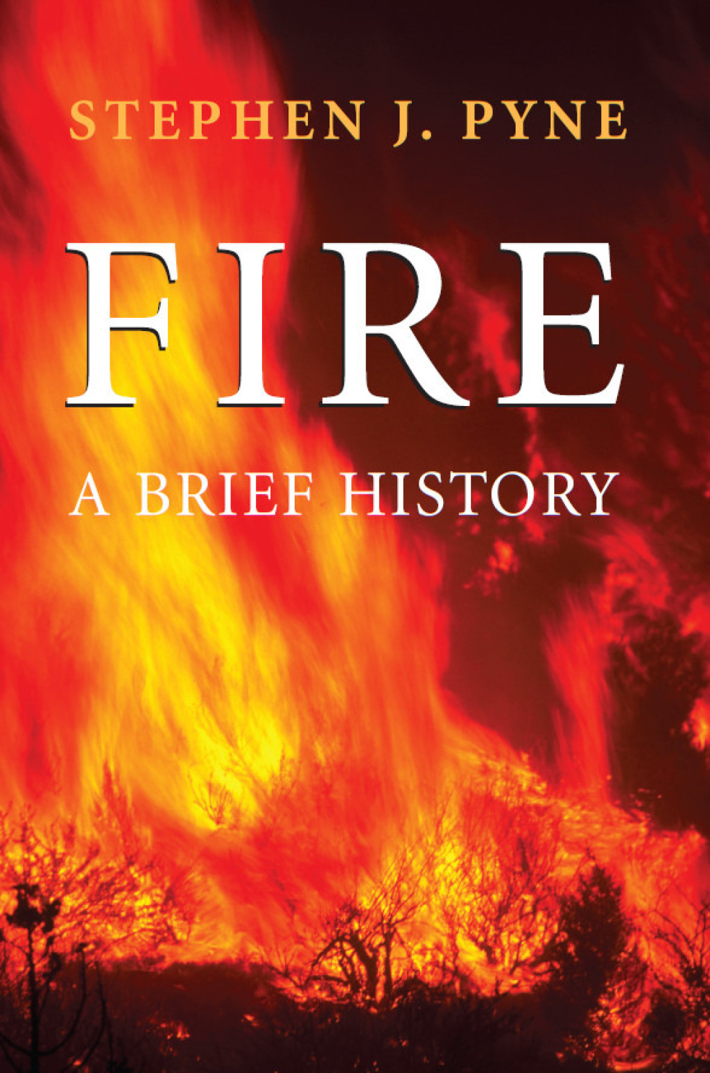 Reflowable Fire; $27.69