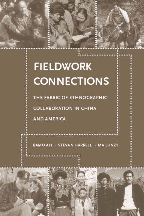 Cover image for book Fieldwork Connections