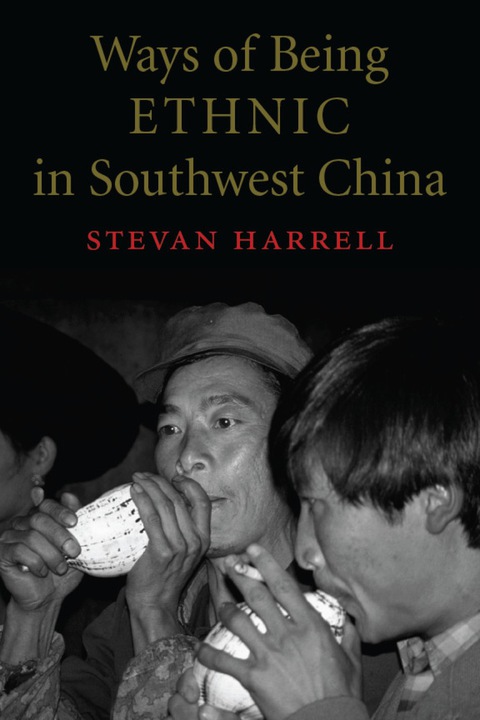 Cover image for book Ways of Being Ethnic in Southwest China
