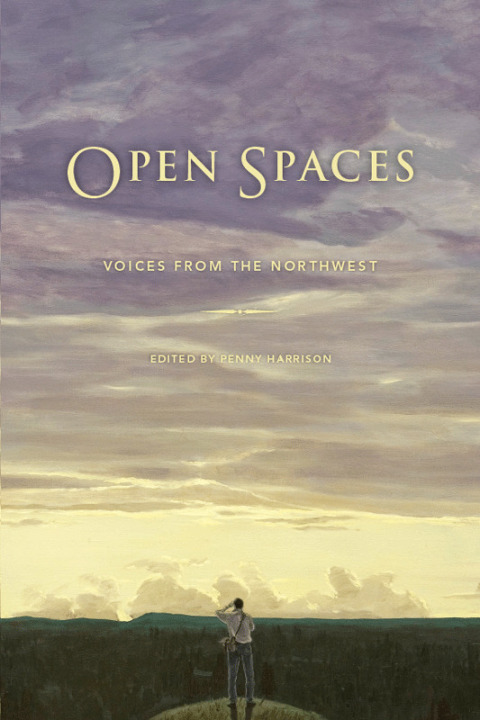 Cover image for book Open Spaces