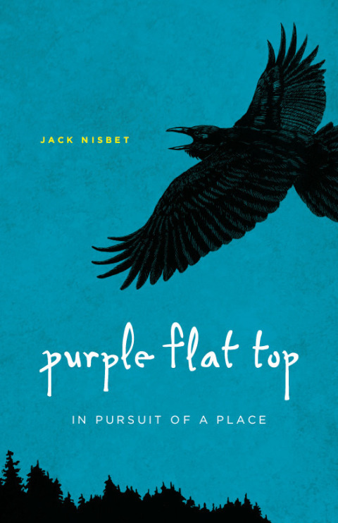 Cover image for book Purple Flat Top