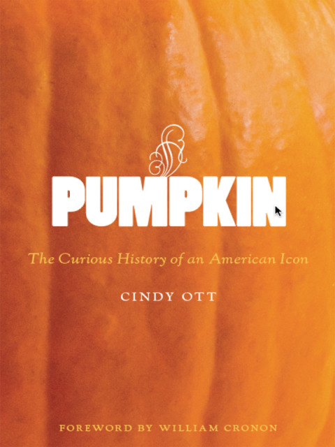 Cover image for book Pumpkin