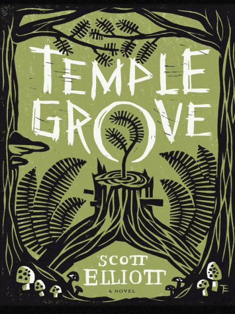 Cover image for book Temple Grove
