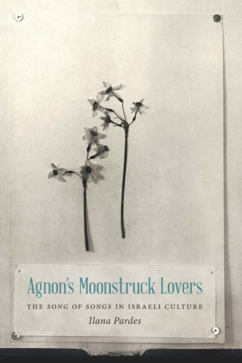 Cover image for book Agnon's Moonstruck Lovers