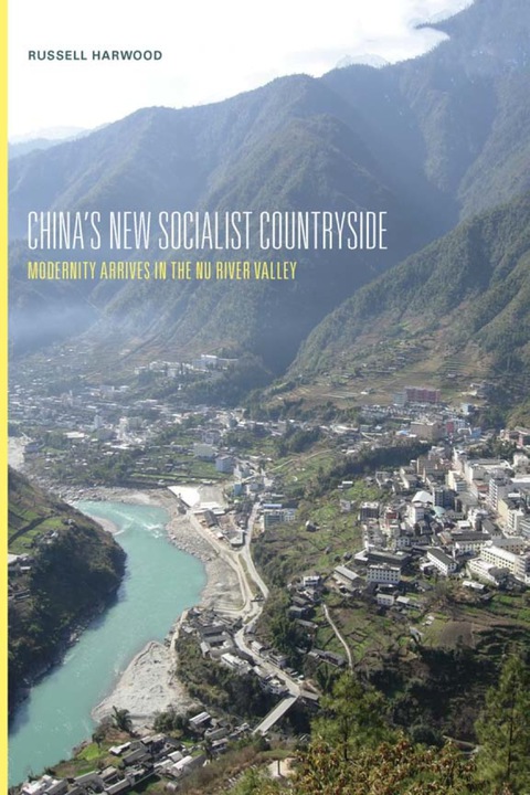 Cover image for book China's New Socialist Countryside