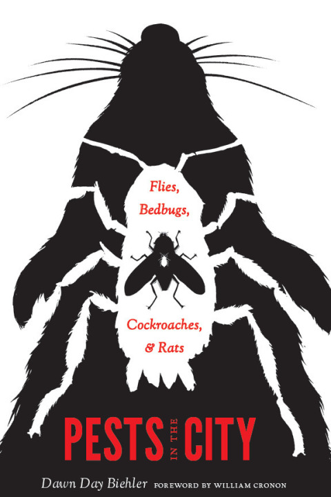 Cover image for book Pests in the City