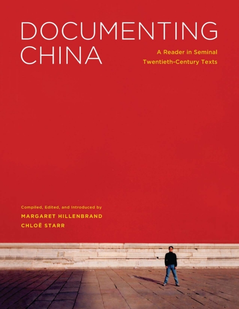 Cover image for book Documenting China