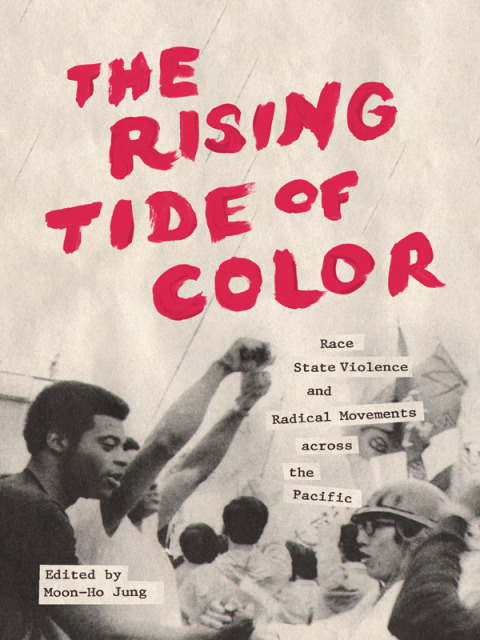 Cover image for book The Rising Tide of Color
