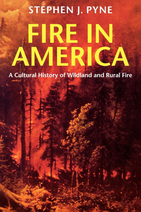 Cover image for book Fire in America