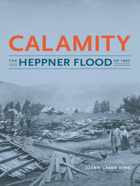Cover image for book Calamity