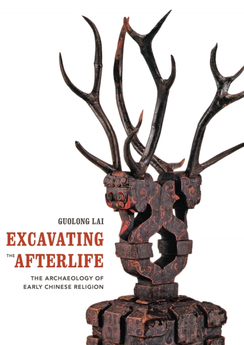 Cover image for book Excavating the Afterlife