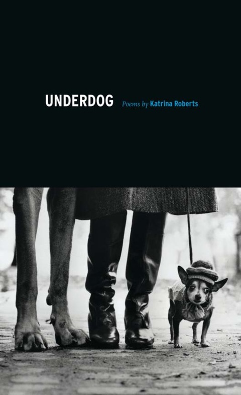 Cover image for book Underdog