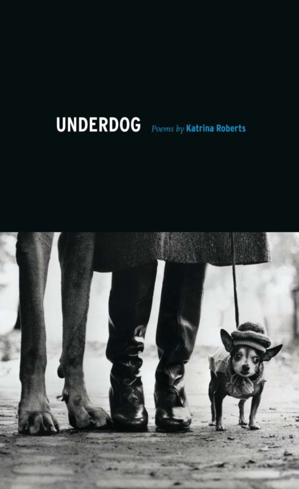 Page Fidelity Underdog; $21.03