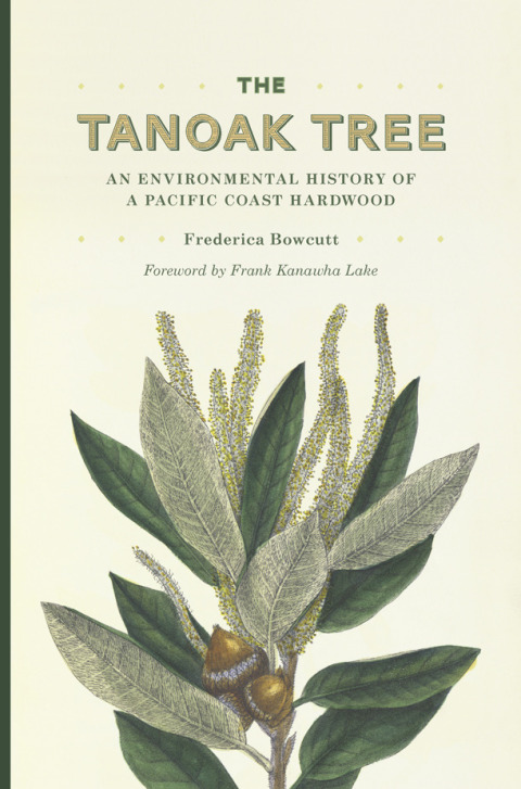 Cover image for book The Tanoak Tree