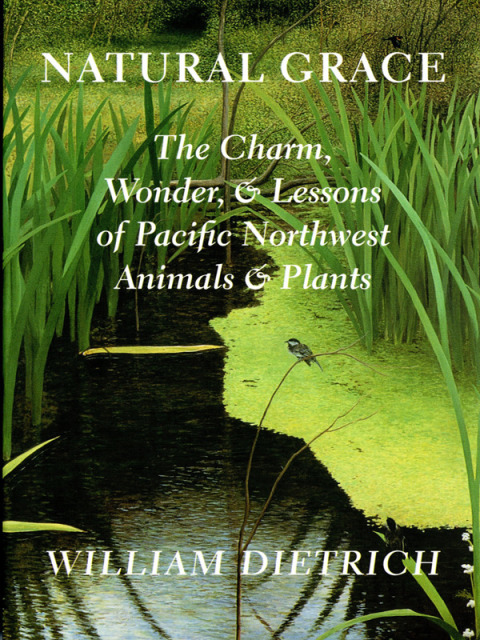 Cover image for book Natural Grace
