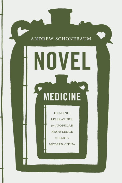 Cover image for book Novel Medicine
