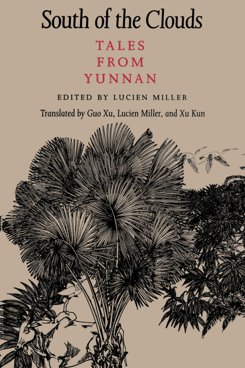 Cover image for book South of the Clouds