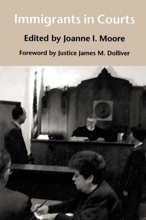 Cover image for book Immigrants in Courts