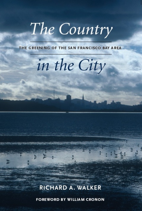 Cover image for book The Country in the City