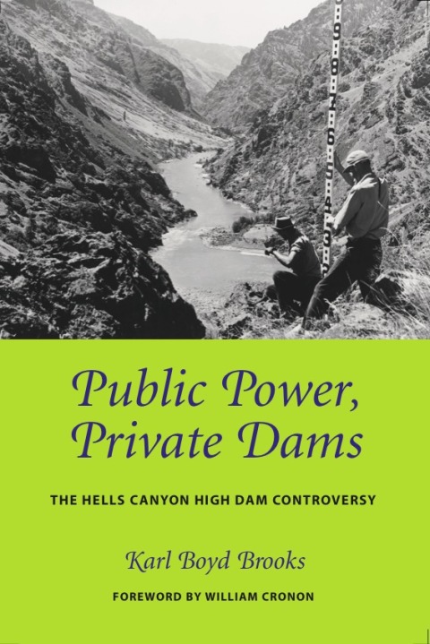 Cover image for book Public Power, Private Dams