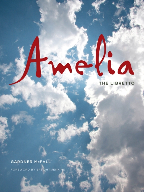 Cover image for book Amelia