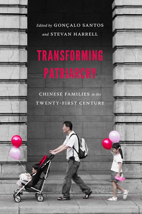 Cover image for book Transforming Patriarchy