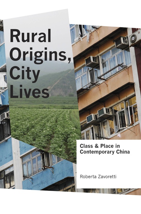 Cover image for book Rural Origins, City Lives