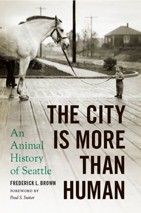 Cover image for book The City Is More Than Human