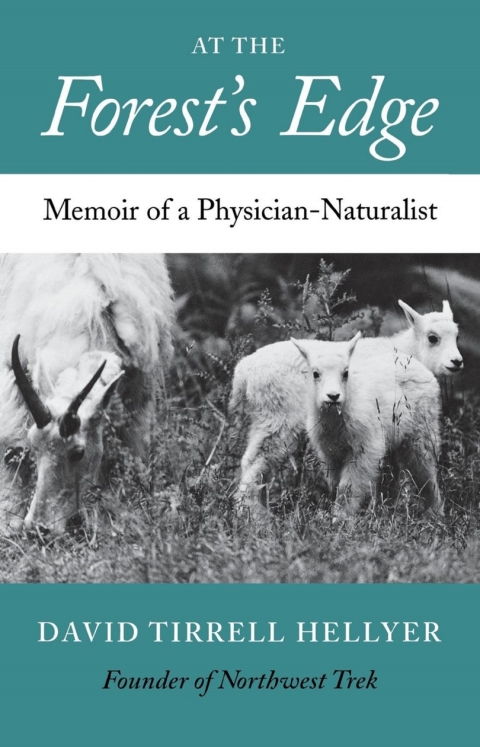 Cover image for book At the Forest's Edge
