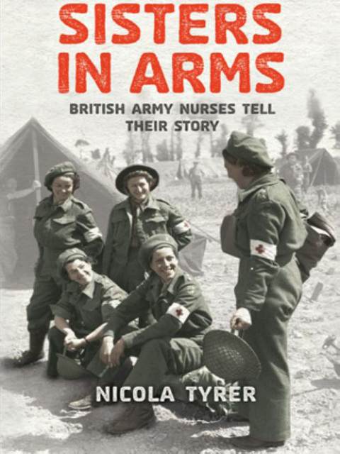 Cover image for book Sisters In Arms