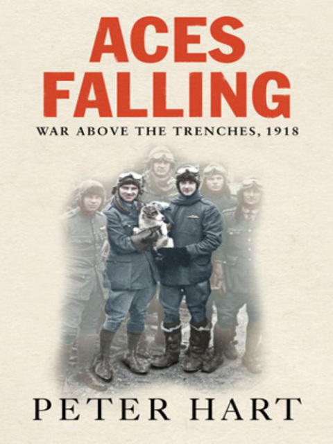 Cover image for book Aces Falling
