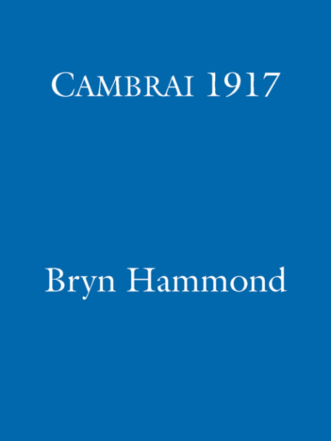 Cover image for book Cambrai 1917