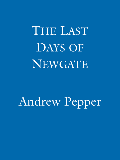 Cover image for book The Last Days of Newgate