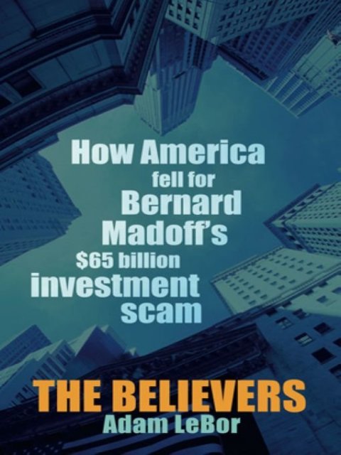 Cover image for book The Believers