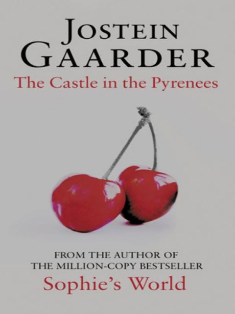 Cover image for book The Castle in the Pyrenees