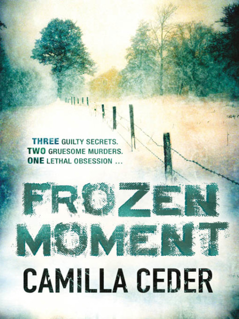Cover image for book Frozen Moment