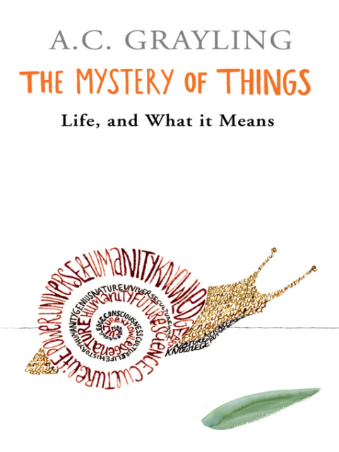 Cover image for book The Mystery of Things