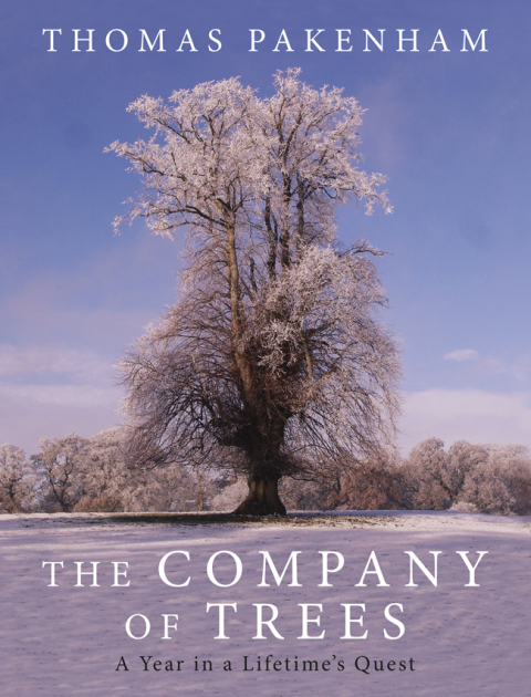 Cover image for book The Company of Trees